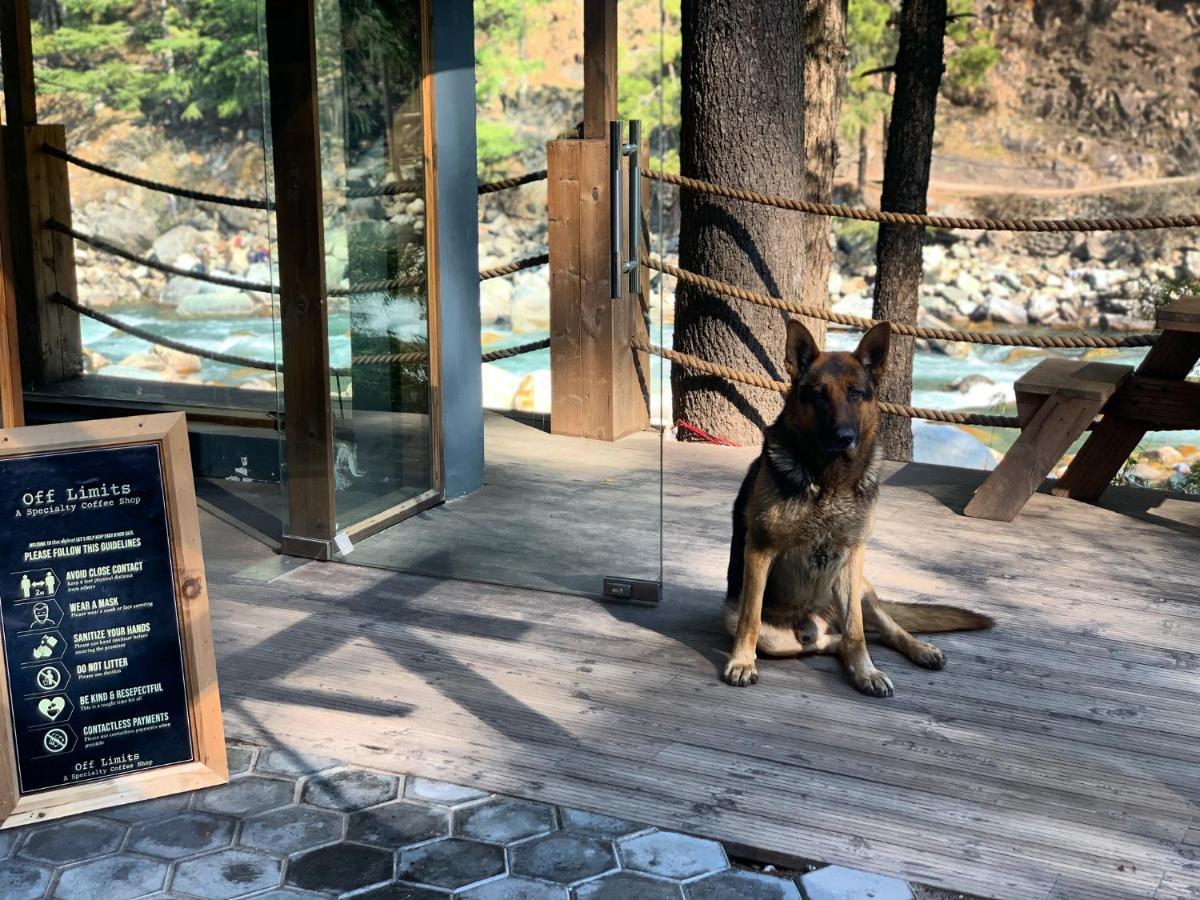 The Alpine Guest House Kasol Buitenkant foto