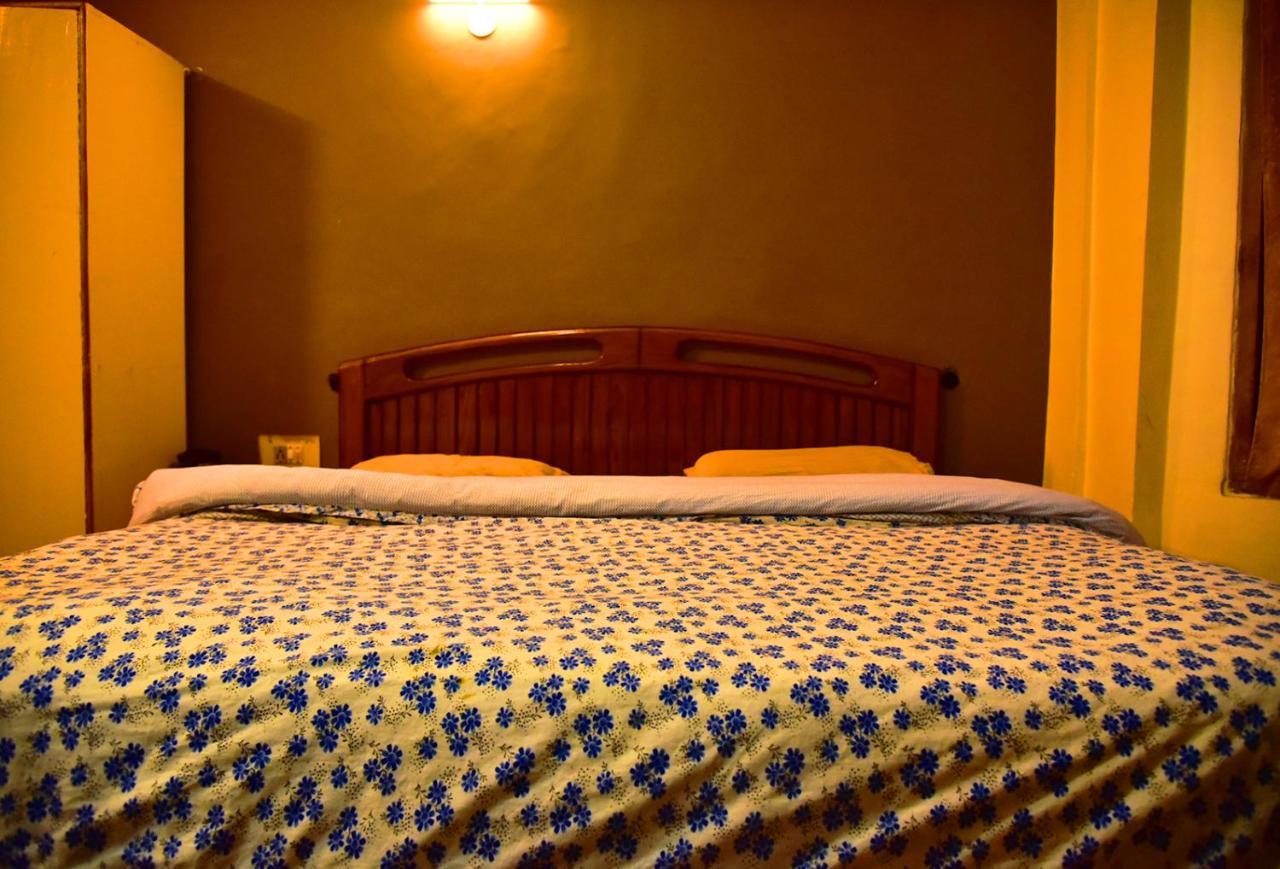 The Alpine Guest House Kasol Buitenkant foto